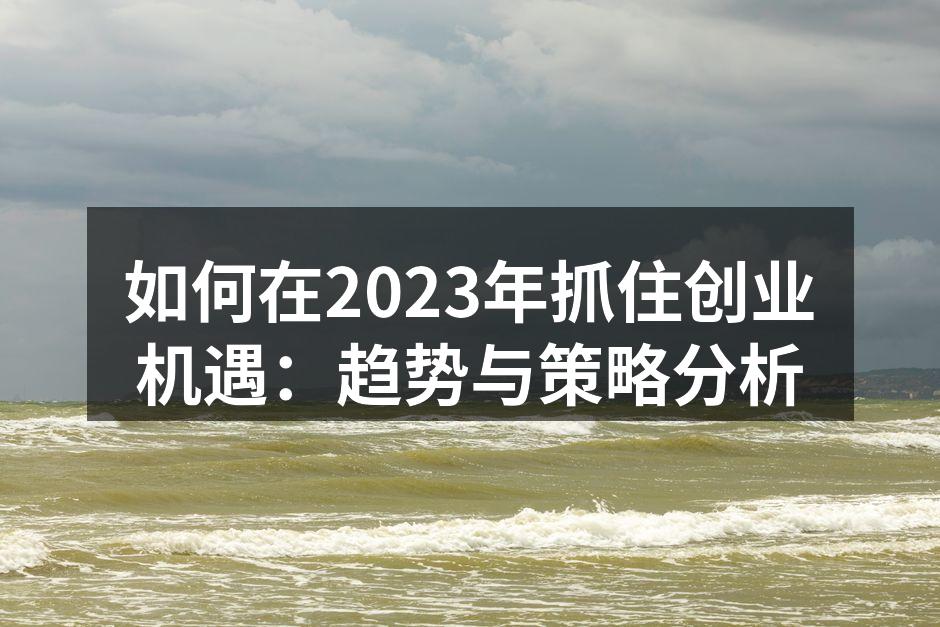如何在2023年抓住创业机遇：趋势与策略分析